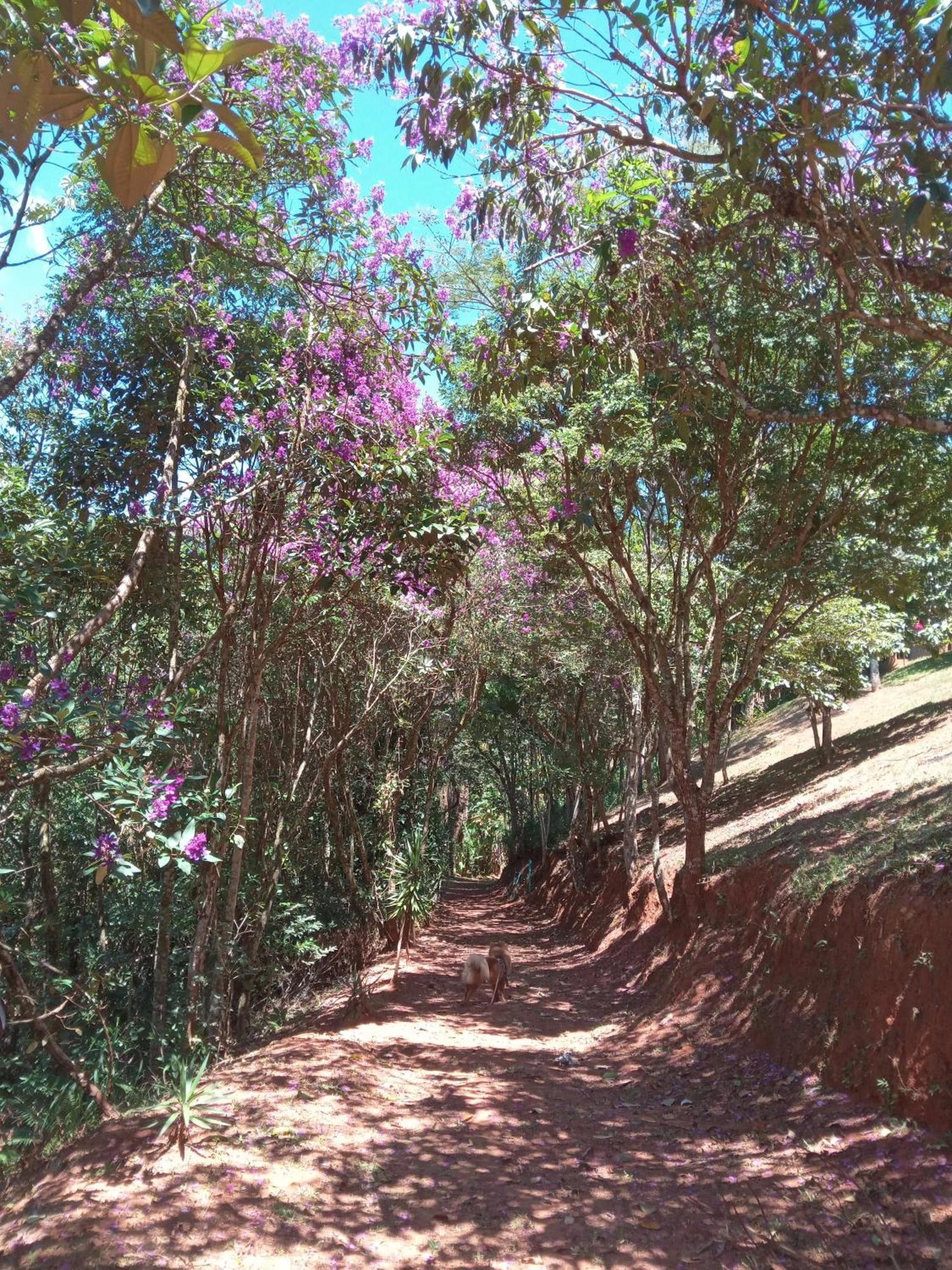 Pousada Casa Mato Taubaté Exteriér fotografie